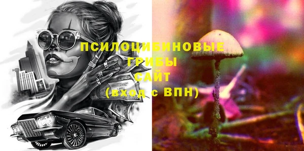 прущая мука Михайлов