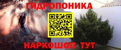 PSILOCYBIN Бийск