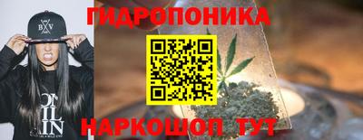 мдма Сланцы