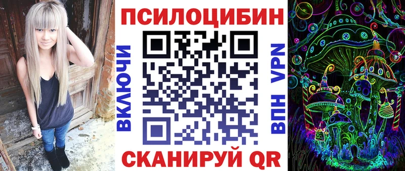 Псилоцибиновые грибы Psilocybe  Тутаев 