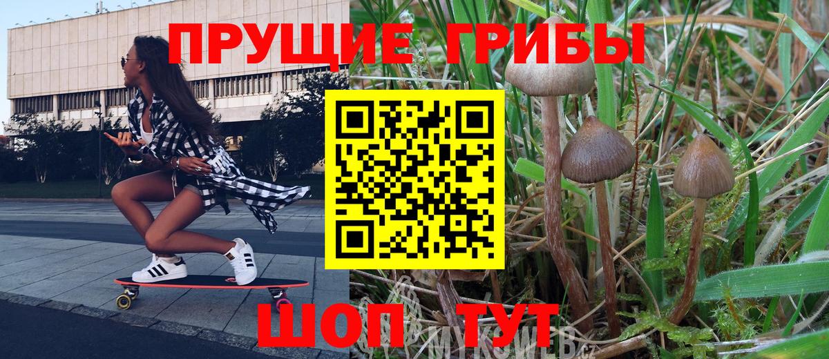 Галлюциногенные грибы MAGIC MUSHROOMS Тутаев